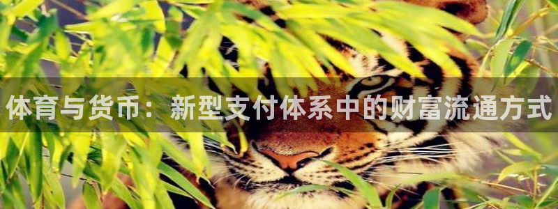 米兰体育官方正版app娱乐40996：体育与货币：新