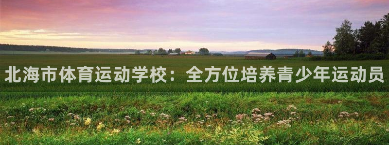 米兰体育官方正版app娱乐40996：北海市体育运动学校：全