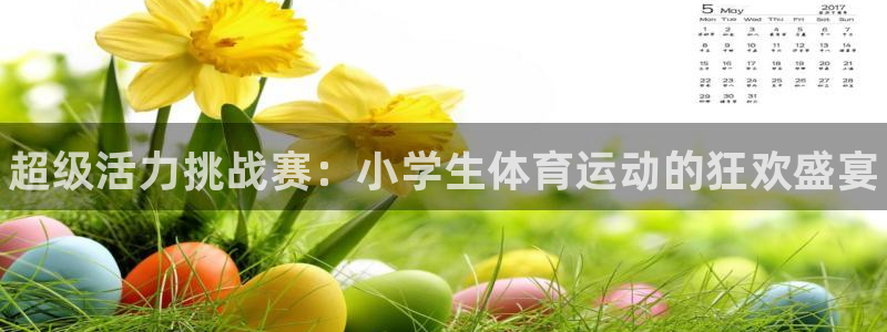 米兰体育官方平台体育：超级活力挑战赛：小学生体育运动的狂欢盛