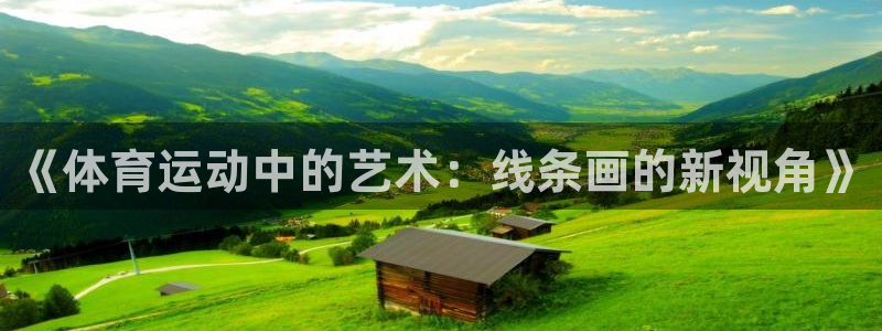 米兰体育官方正版app娱乐平台：《体育运动中的艺术：线条画的