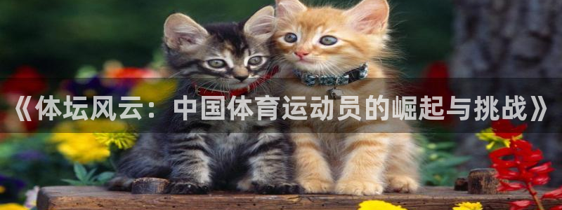 米兰体育官网下载官方客服电话：《体坛风云：中国体育运动员的崛