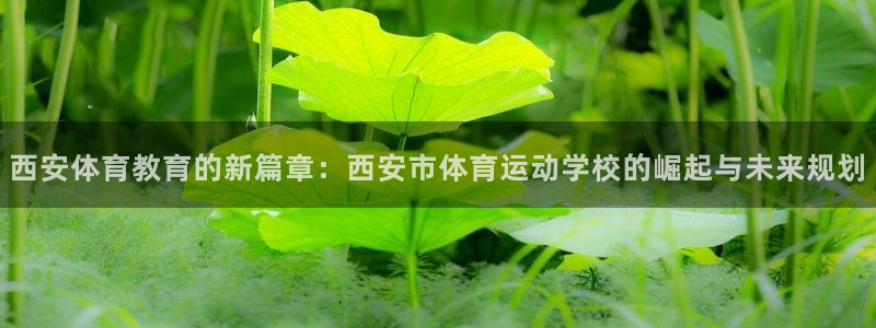 米兰体育官网下载平台注册要钱吗：西安体育教育的新篇章：西安市