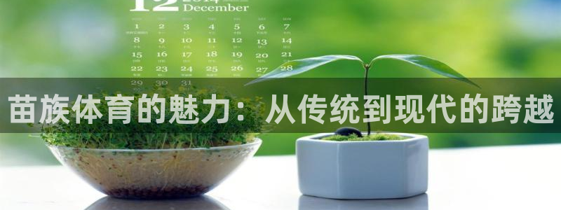 米兰体育官方集团官网：苗族体育的魅力：从传统到现代的