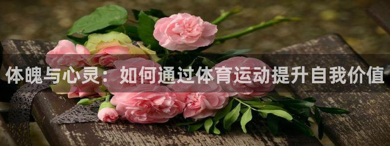 米兰体育官方正版app娱乐是那个系列的台子：体魄与心灵：如何