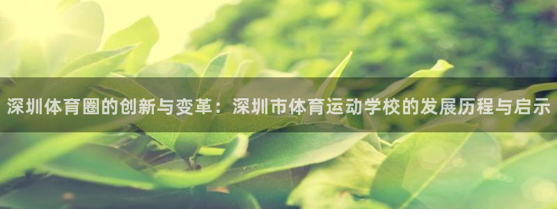 米兰体育官网下载平台：深圳体育圈的创新与变革：深圳市