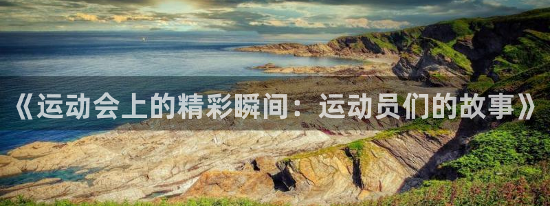 米兰体育官方正版app新能源：《运动会上的精彩瞬间：