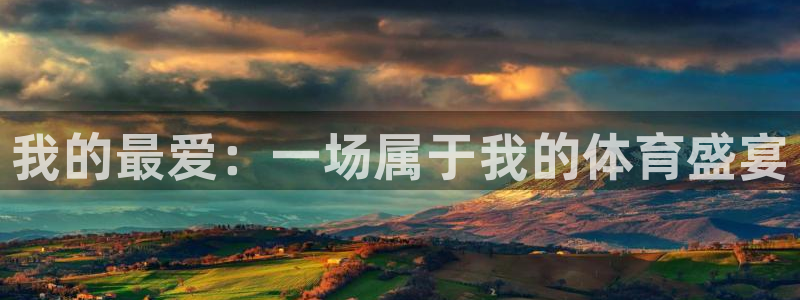 米兰体育官方集团官网：我的最爱：一场属于我的体育盛宴