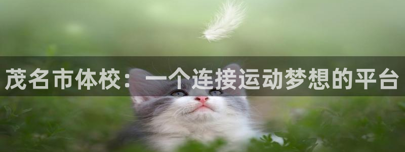 米兰体育官方正版app官网：茂名市体校：一个连接运动