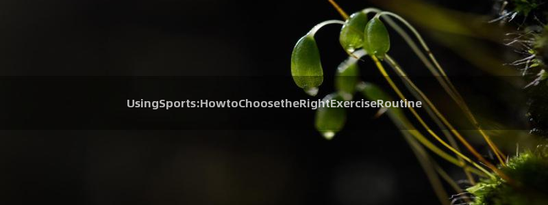 米兰体育官方正版app科技：UsingSports:Howt