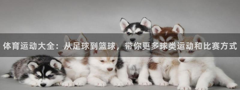 米兰体育官方平台体育：体育运动大全：从足球到篮球，带你更多球