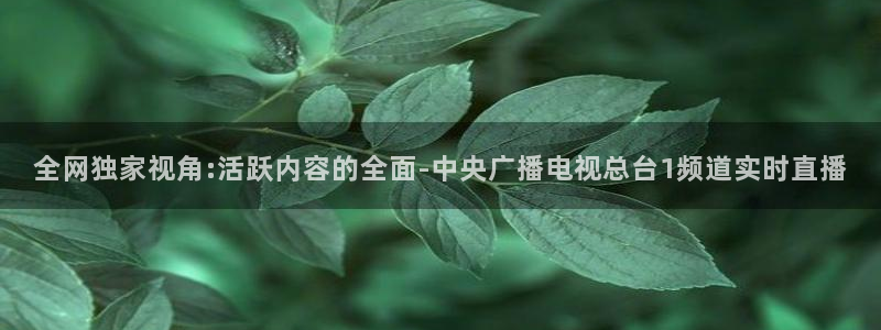 足球直播免费观看直播178：全网独家视角:活跃内容的全面-中央广播电视总台1频道实时直播