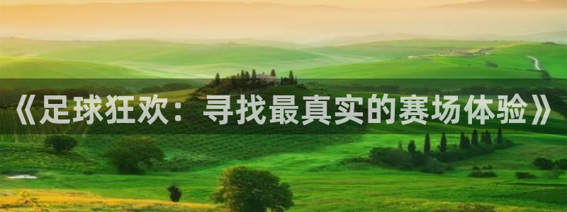 178直播体育ios下载：《足球狂欢：寻找最真实的赛场体验》