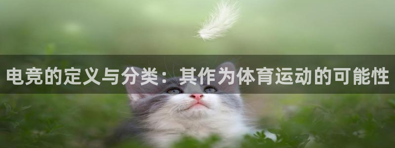 米兰体育入口官网：电竞的定义与分类：其作为体育运动的可能性