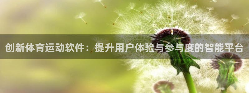  米兰体育网站赞助瓦伦西亚Q：创新体育运动软件：提升用户体验与
