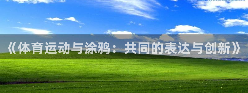  米兰体育开了多久：《体育运动与涂鸦：共同的表达与创新》