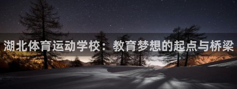  米兰体育欧洲杯：湖北体育运动学校：教育梦想的起点与桥梁