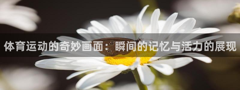  米兰体育app手机下载安装：体育运动的奇妙画面：瞬间的记忆与