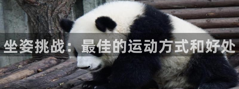 米兰体育出款慢怎么回事：坐姿挑战：最佳的运动方式和好处