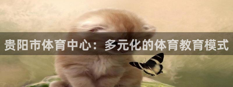 米兰体育网页入口：贵阳市体育中心：多元化的体育教育模式