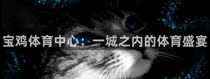  米兰体育报评选足坛历史最佳：宝鸡体育中心：一城之内的体育盛宴