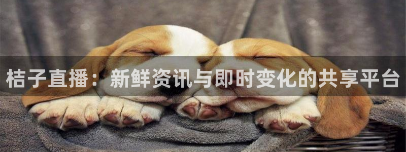 178体育直播间：桔子直播：新鲜资讯与即时变化的共享平台