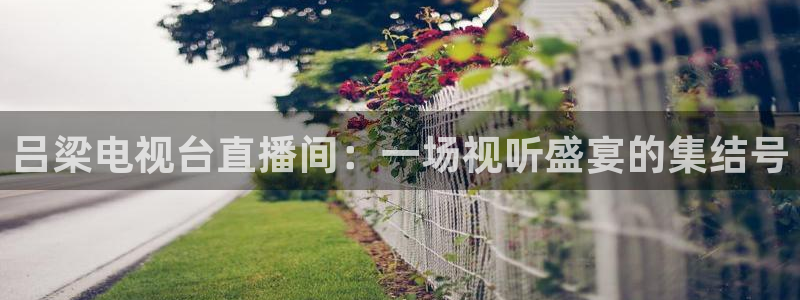 下载178体育赛事直播app：吕梁电视台直播间：一场视听盛宴的集结号