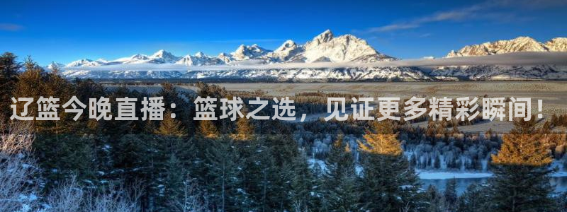 178体育在线直播观看：辽篮今晚直播：篮球之选，见证更多精彩瞬间！
