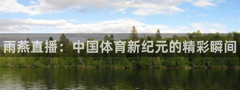 nba赛事直播178：雨燕直播：中国体育新纪元的精彩瞬间